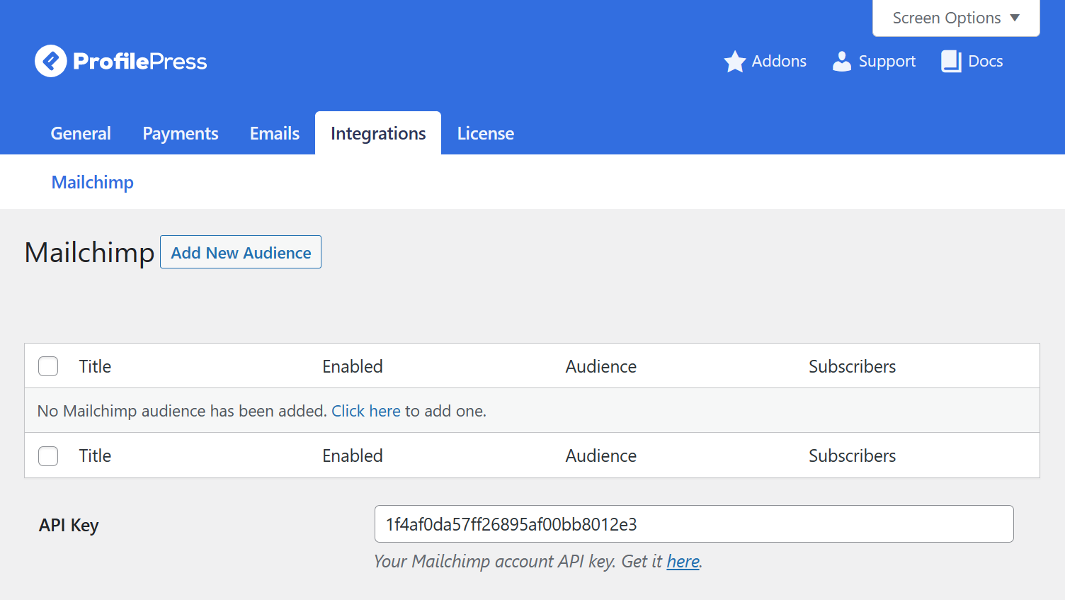 paste the Mailchimp API key